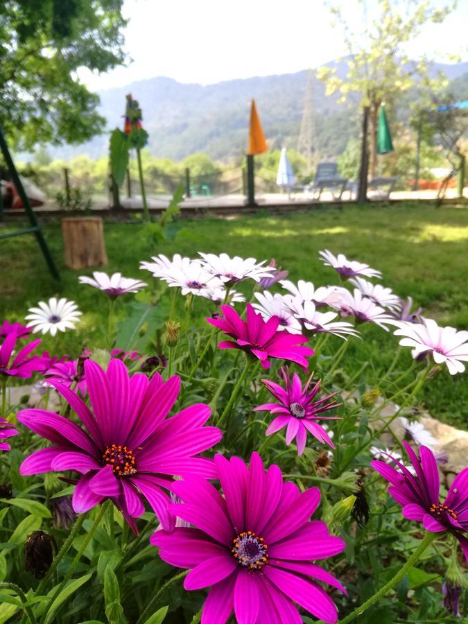 Dervi̇şhan Pansiyon Health Club Dalyan Dış mekan fotoğraf